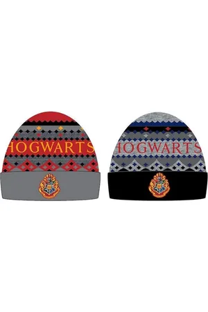 Harry Potter Hogwarts Assorted Hat