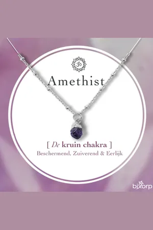 Bixorp Gems Ruwe Amethist Kruin Chakra Ketting - Zilverkleurig Roestvrij Staal - 36cm + 8cm verstelbaar