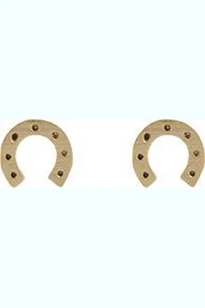 Amodi 24/7 Jewelry Collection Hoefijzer Oorbellen - Paard - Oorknopjes - Minimalistisch - Goud