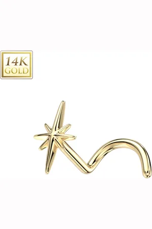 LMPiercings NL 14kt Gouden neuspiercing Sparkle Top