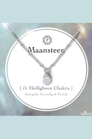 Bixorp Gems Ruwe Maansteen Chakra Ketting - Zilverkleurig Roestvrij Staal - 36cm + 8cm verstelbaar