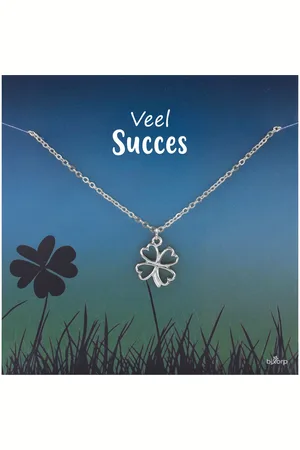 Bixorp Luck Klavertje Vier Cadeau Ketting - "Veel Succes" - Zilver Geplatineerd - 38+8cm