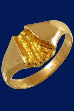 AuBor Rivier van , Gouden ring 20.5mm