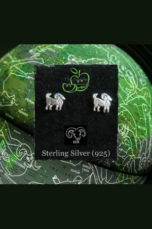 Fashion Jewelry H.A.M.A. - Horoscoop Teken oorstekers oorbellen - Sterling 925 - Ram (4) - Casual Feest - Unisex - Kinderen Jeugd Volwassenen