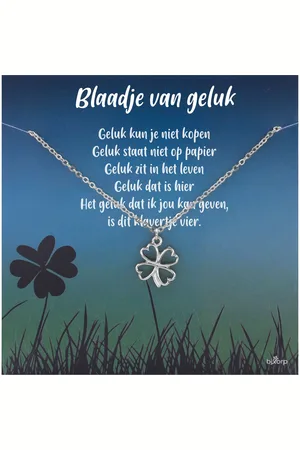 Bixorp Luck Klavertje Vier Cadeau Ketting - "Blaadje van Geluk" - Zilver Geplatineerd - 38+8cm