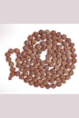 N3 Collecties Rudraksha Jaap Mala Meditatie Yoga (astrologie, 108 + 1 kralen, )