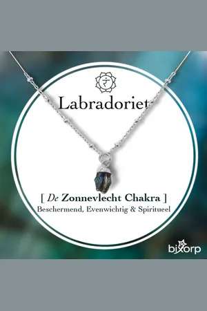 Bixorp Gems Ruwe Labradoriet Chakra Ketting - Zilverkleurig Roestvrij Staal - 36cm + 8cm verstelbaar