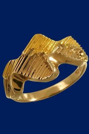 AuBor Noorderlicht. Gouden ring 16.5mm