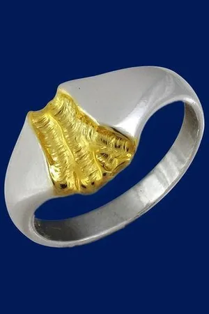 AuBor Rivier van goud, Zilveren ring 17mm