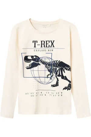 NAME IT Kids jongens longsleeve RICKO Whitecap Gray Regular Fit