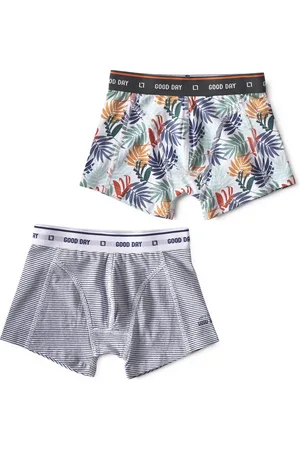 Little Label Boxershorts 2-pack - mini stripe blue & palm leaves green - maat: 92 - bio-katoen