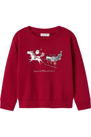 NAME IT NMFVISMAS LS NREG SWEAT BRU Meisjes Trui