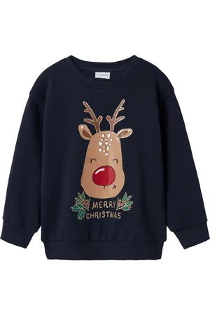 NAME IT NMFVISMAS LS NREG SWEAT BRU Meisjes Trui