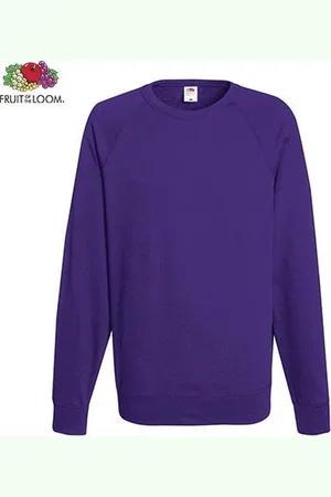 Fruit Of The Loom Sweater - ronde hals - maat L - heren - Kleur Purple