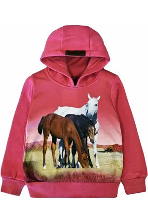 Merkloos Sweater Hoodie trui met paard horse paarden veulen kleur maat 92 Heel mooi