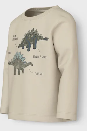 NAME IT NMMNANDER LS TOP - Jongens - Lange mouwen shirts