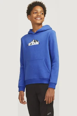 JACK & JONES JCOMOUNTAIN LOGO SWEAT HOOD SN MNI Jongens Trui