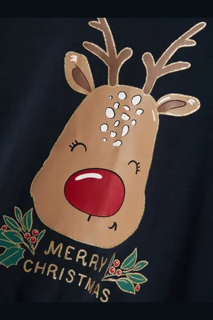 NAME IT NMFVISMAS LS NREG SWEAT BRU Meisjes Trui