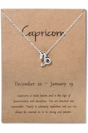 Bixorp Stars Steenbok / Capricorn Ketting - Zilverkleurige Ketting op Cadeau Kaartje - Sterrenbeeld / Zodiac Hanger
