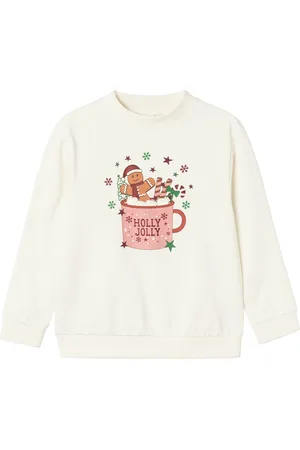 NAME IT NKFRULJUL LS NREG SWEAT BRU BOX Meisjes Trui
