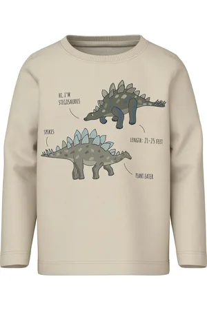 NAME IT NMMNANDER LS TOP - Jongens - Lange mouwen shirts