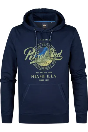 Petrol Industries Heren Artwork Hoodie Biscuit -