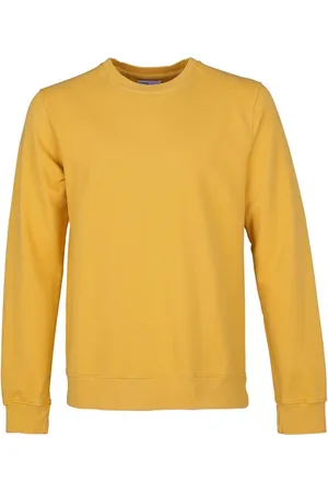 Colorful Standard Sweater