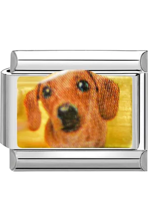 quiges Schakel - Bedel - 9mm - charms - hond teckel - Geschikt voor - Nomination- armband - Schakelarmband - italy bedels armband