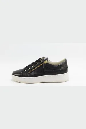 DLSport 6501 versione 0A sun