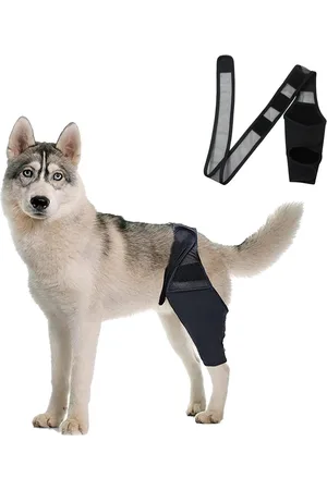 Merkloos Hond Kniebrace & Elleboog Pad Combinatie