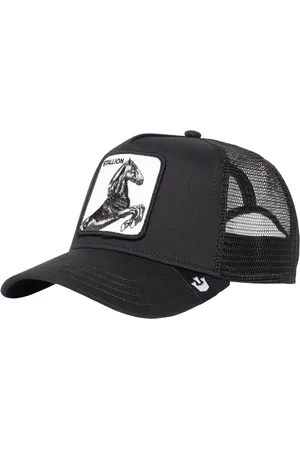 Goorin Bros. The Stallion Pet?