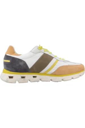 Cetti C1363 44 EU