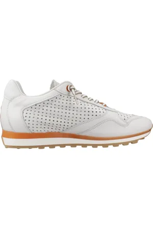 Cetti C848 V25 42 EU