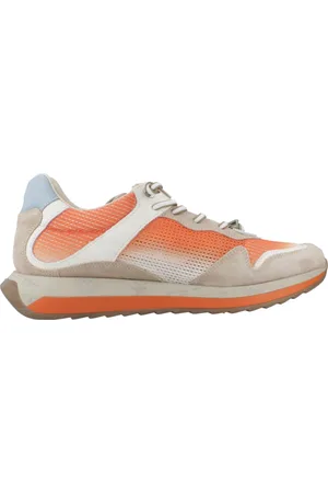 Cetti C1382 V25 41 EU