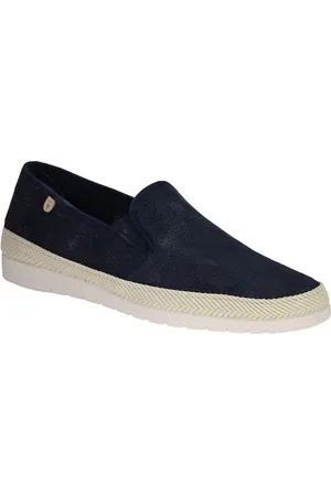 Verbenas Boris Blauwe Moccasin