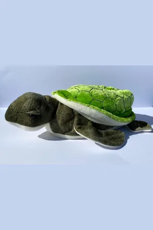 Merkloos Dieren pantoffels Schildpad maat 38-39