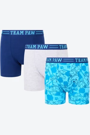 Paw Patrol Chase Boxer