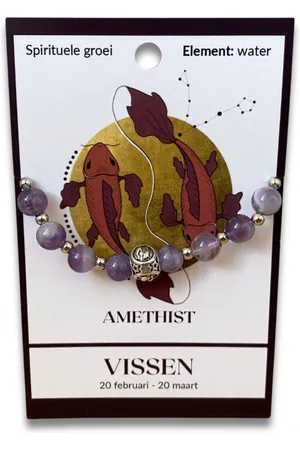 Ruben Robijn Amethist sterrenbeeld armband - Vissen