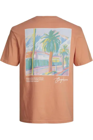 JACK & JONES JACK&JONES - JORARUBA LANDSCAPE TEE SS CREW NECK - Heren - T-shirts