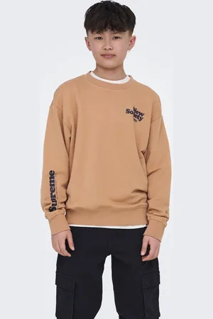 Only & Sons ONLY&SONS - OSJTANNER LIFE RLX L/S O-NECK UB SWT - Jongens - Sweaters
