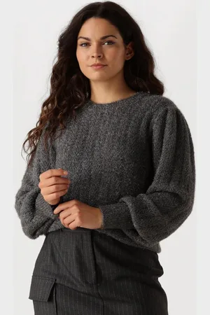 Aaiko Femme Pes 377 Truien & vesten Dames - Sweater - Hoodie - Vest-