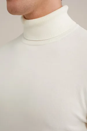 WE Fashion Heren fijngebreide coltrui
