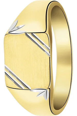 Lucardi Heren Zilveren bicolor goldplated heren zegelring mat/glans - Ring - 925 Zilver - Goudkleurig - 19 / 60 mm