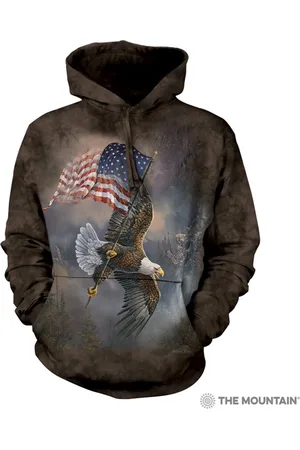 The Mountain Hoodie Flag-Bearing Eagle S