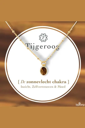 Bixorp Chakra Ketting met 18k Verguld Goud - Edelsteen Hanger - Roestvrij Staal - 36cm + 8cm verstelbaar