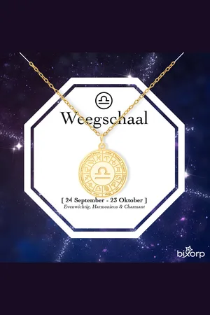 Bixorp Stars Sterrenbeeld Ketting - Stainless Steel Medailon met Goud Verguld - 45cm Ketting met Zodiac Hanger - Inclusief Cadeau Verpakking