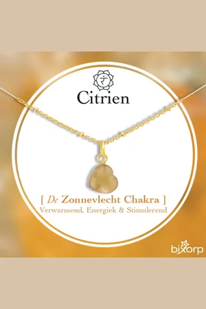 Bixorp Hartje Ketting - Edelsteen Zonnevlecht Chakra Hanger - Roestvrij Staal met Verguld Goud - 36+8cm