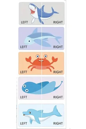 Merkloos Schoenstickers / Linker en rechter schoen / Linkervoet en rechtervoet / Kinderschoen sticker
