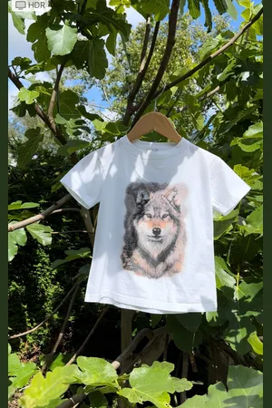 B and C Magic By Sun - T-shirt Wolf - Solar T-shirt - de print verkleurd door de zon