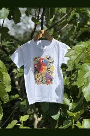 B and C Magic By Sun - T-shirt Papagaai - Solar T-shirt - de print verkleurd door de zon